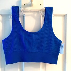 NWT Aerie Blue Ribbed Sports Bra Size L